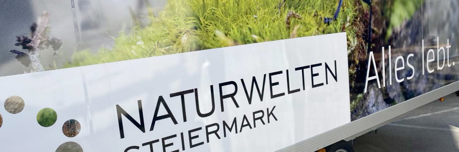 NaTourwelten Anhänger