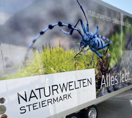NaTourwelten Anhänger