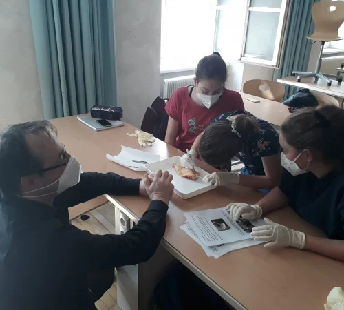 Naturwelten Steiermark Schüler beim Sezieren