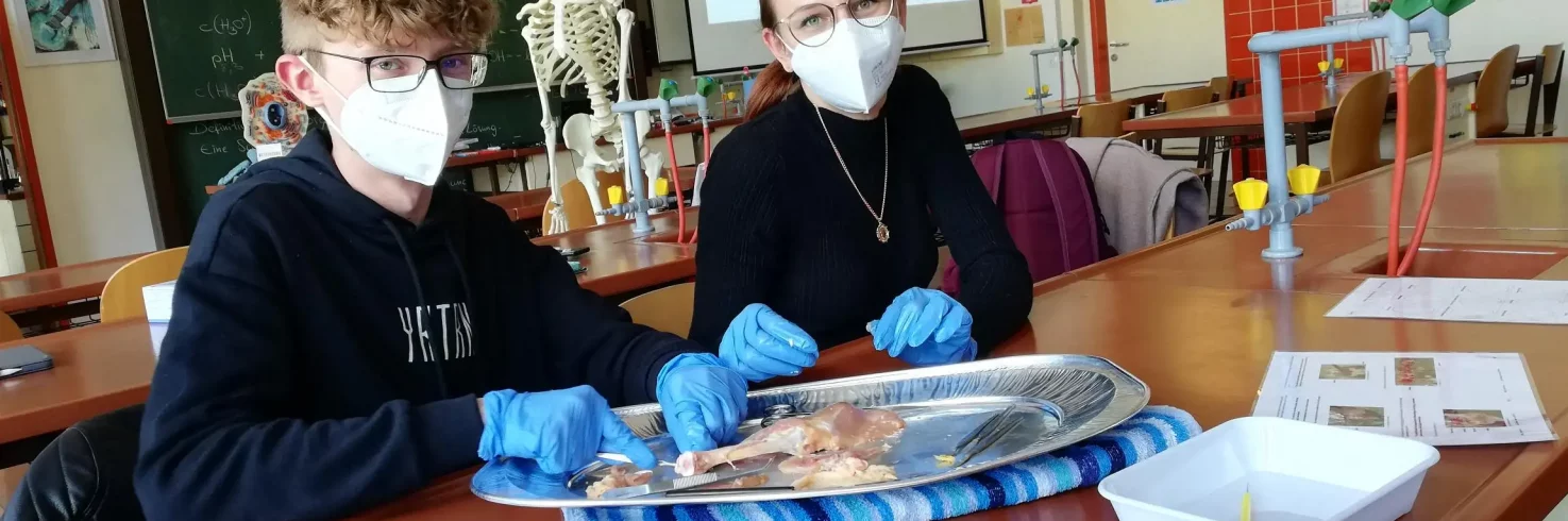 Naturwelten Steiermark Schüler beim Sezieren
