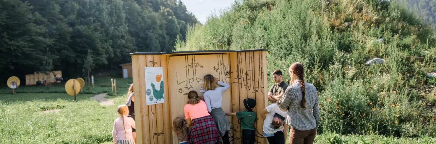 Naturwelten Steiermark Piep Show Beispiel Aufgabe Freiwilliges Umweltjahr