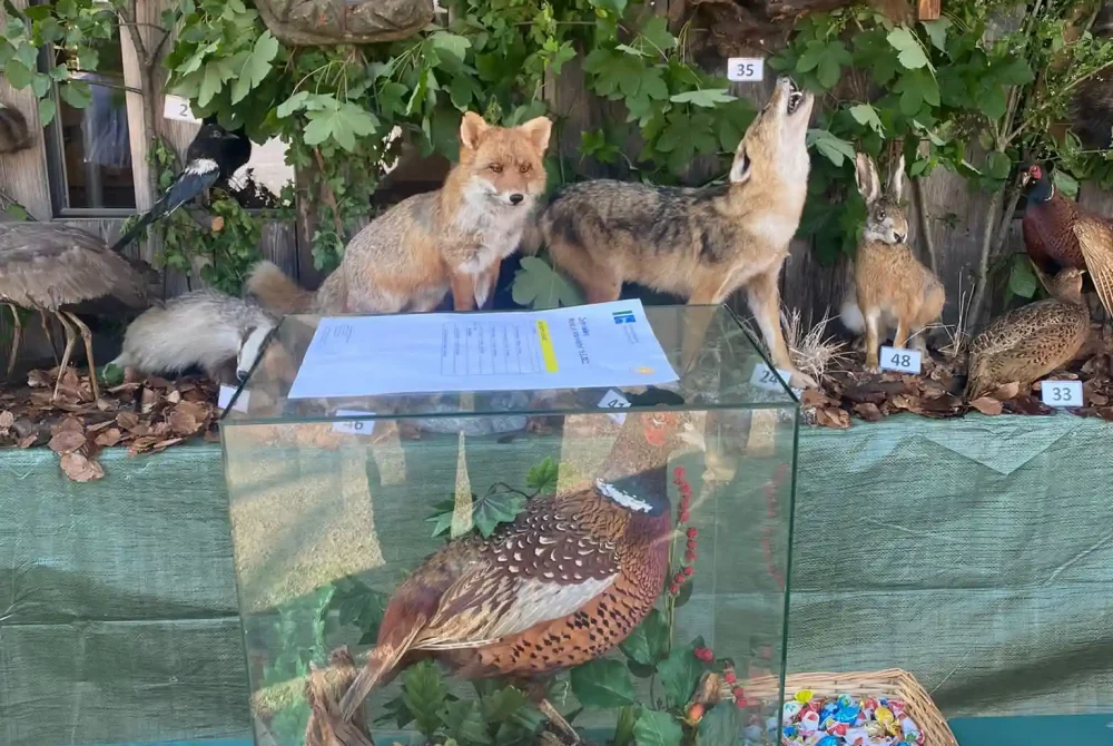 Naturwelten Steiermark Jagd-Ausstellungsstücke