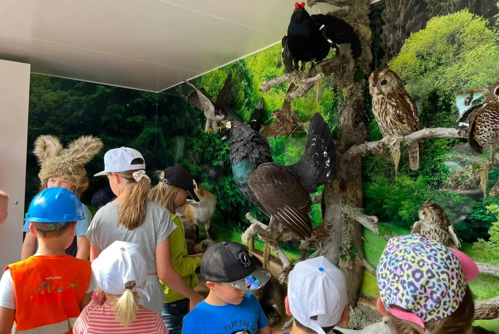 Naturwelten Steiermark Anhänger