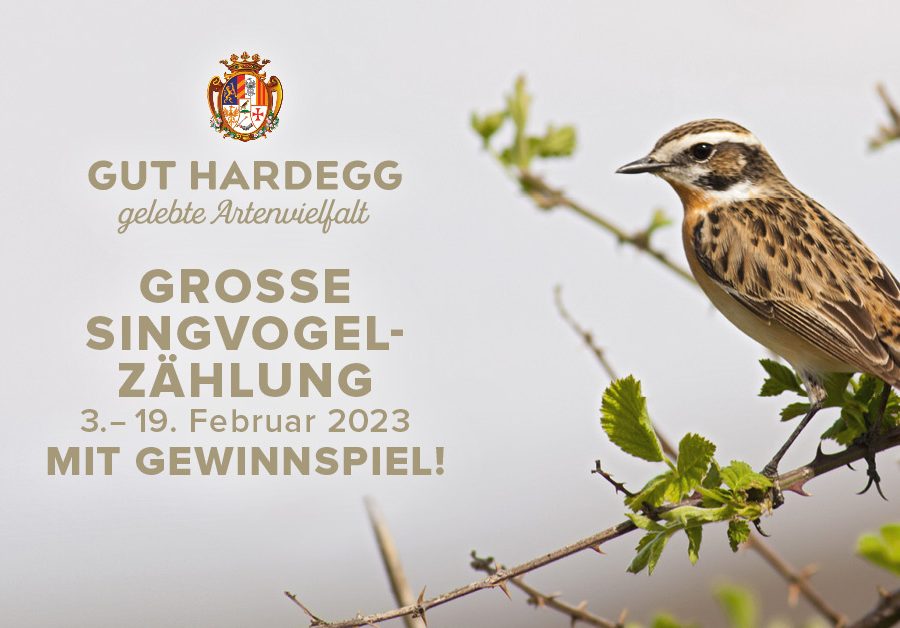 Singvogelzählung