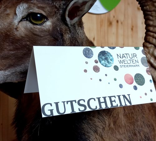 Gutschein Steinbock