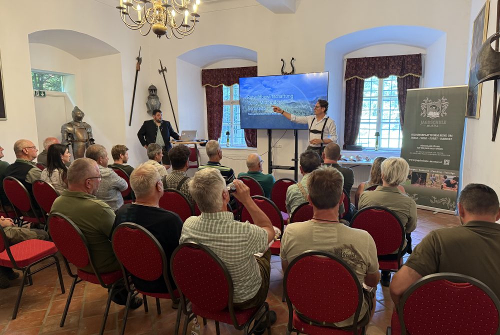 Teilnehmer in Sesselreihen, Geschichtsträchtiger Saal, Schloss Liechtenstein