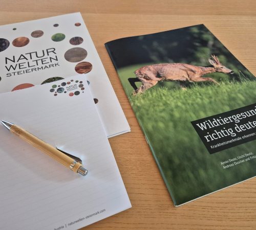 Unterlagen Ausbildung Kundige Person, Broschüre, Block, Kugelschreiber