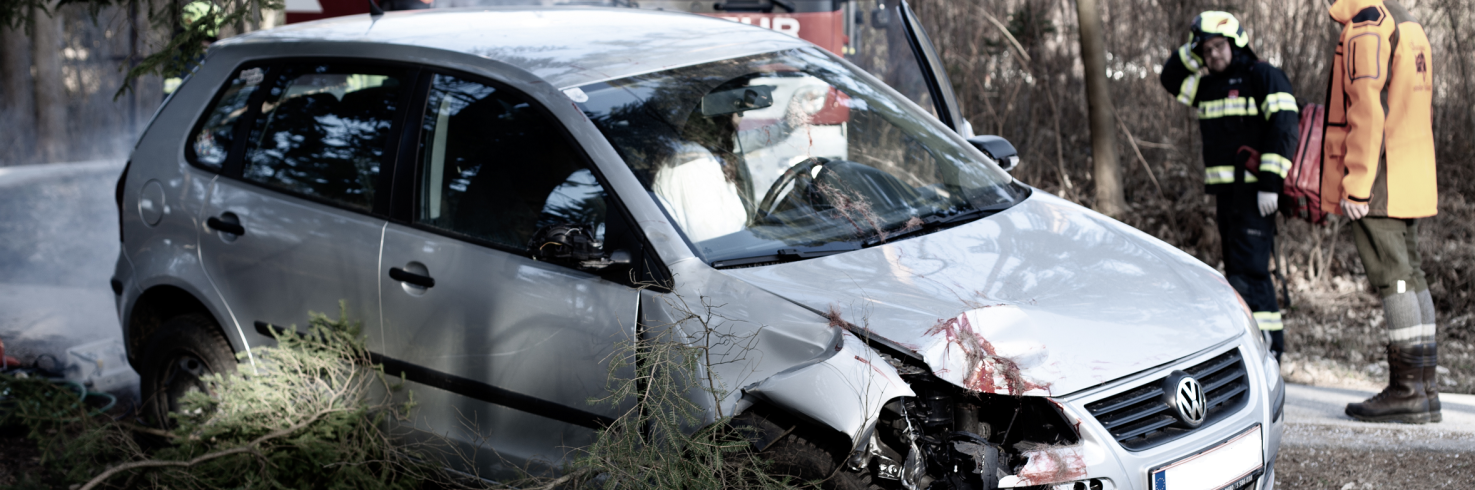 Ein silberner Volkswagen ist nach einem Wild - Verkehrsunfall im Wald stark beschädigt, mit eingedrückter Front und Blutspuren auf der Motorhaube. Vor dem Auto liegen abgebrochene Äste. Im Hintergrund stehen ein Feuerwehrfahrzeug und mehrere Einsatzkräfte in Schutzausrüstung, die die Lage begutachten.