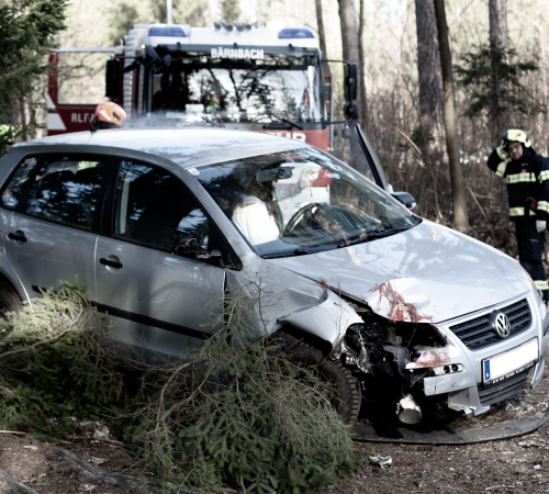 Ein silberner Volkswagen ist nach einem Wild - Verkehrsunfall im Wald stark beschädigt, mit eingedrückter Front und Blutspuren auf der Motorhaube. Vor dem Auto liegen abgebrochene Äste. Im Hintergrund stehen ein Feuerwehrfahrzeug und mehrere Einsatzkräfte in Schutzausrüstung, die die Lage begutachten.