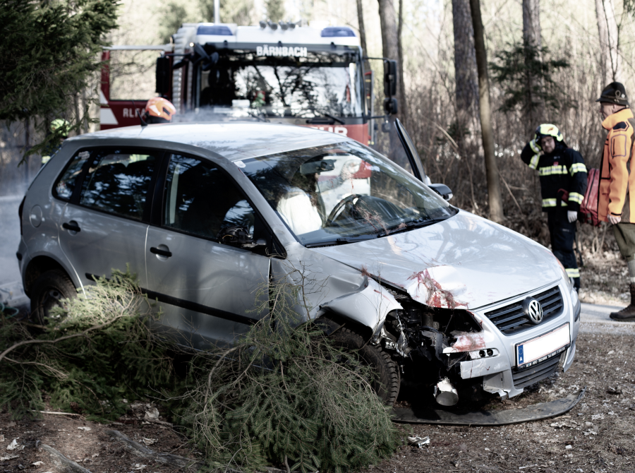 Ein silberner Volkswagen ist nach einem Wild - Verkehrsunfall im Wald stark beschädigt, mit eingedrückter Front und Blutspuren auf der Motorhaube. Vor dem Auto liegen abgebrochene Äste. Im Hintergrund stehen ein Feuerwehrfahrzeug und mehrere Einsatzkräfte in Schutzausrüstung, die die Lage begutachten.