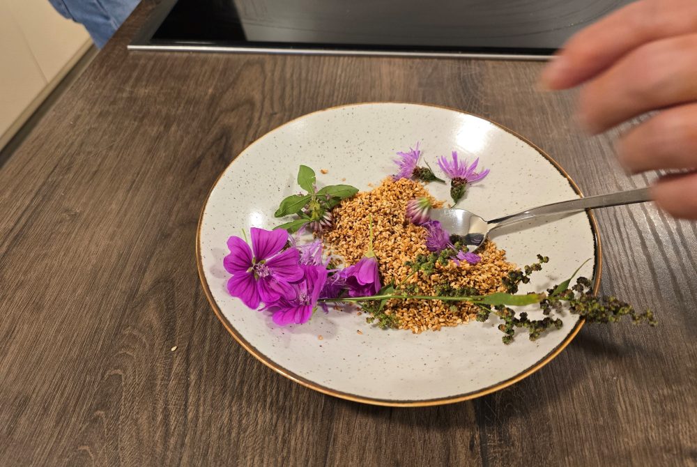 Bunte Kräuter und Samen auf einem Teller