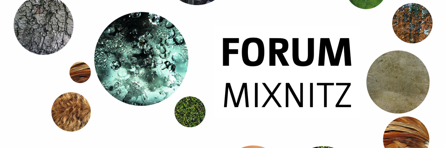 Logo Forum Mixnitz