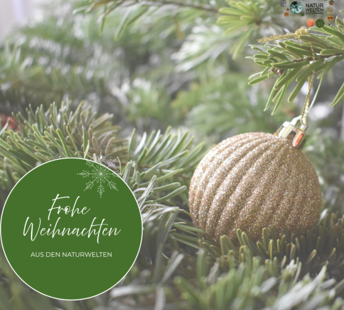 Tannenbaum mit Christbaumkugel und Weihnachtswünschen in einem grünen Kreis