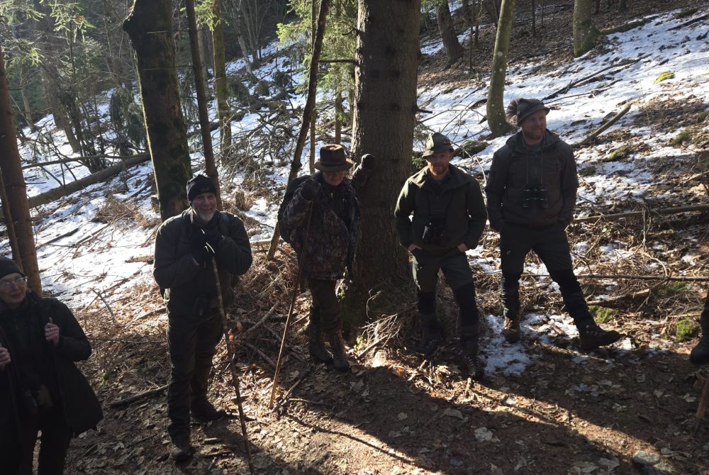Blick ins Revier Praxisausgang zum Thema Steinwild