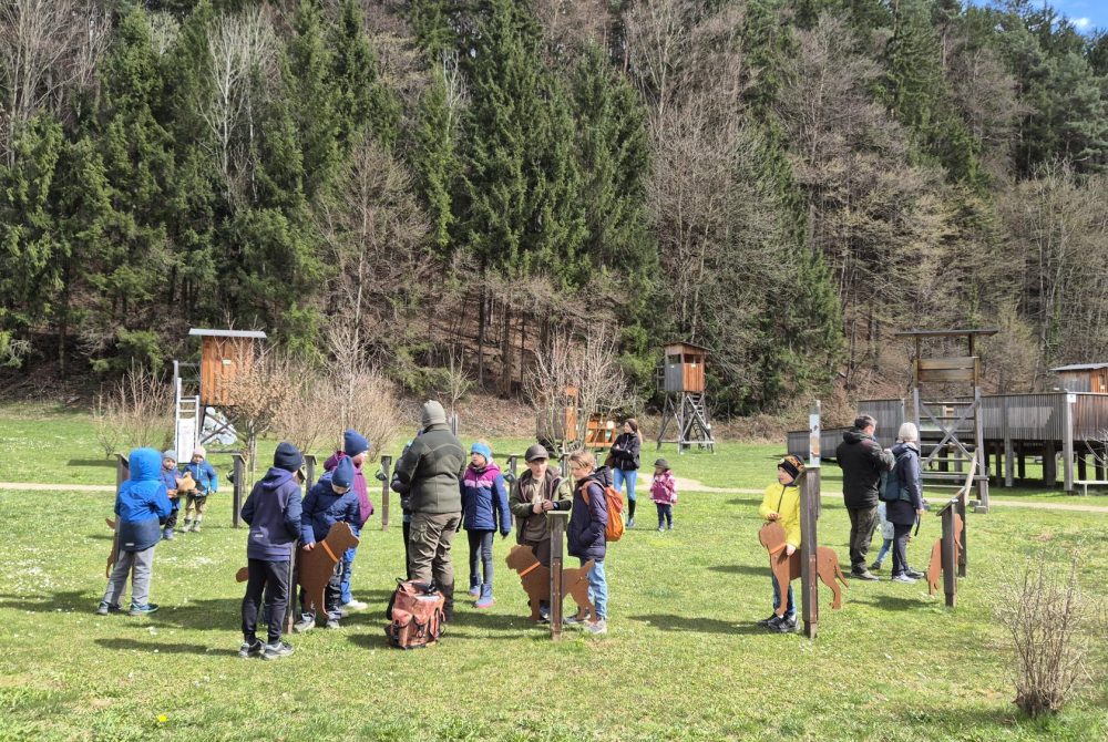 1x1 der Jagd für Kids