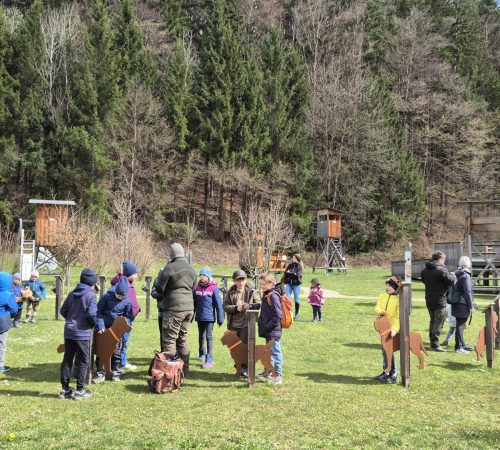 1x1 der Jagd für Kids