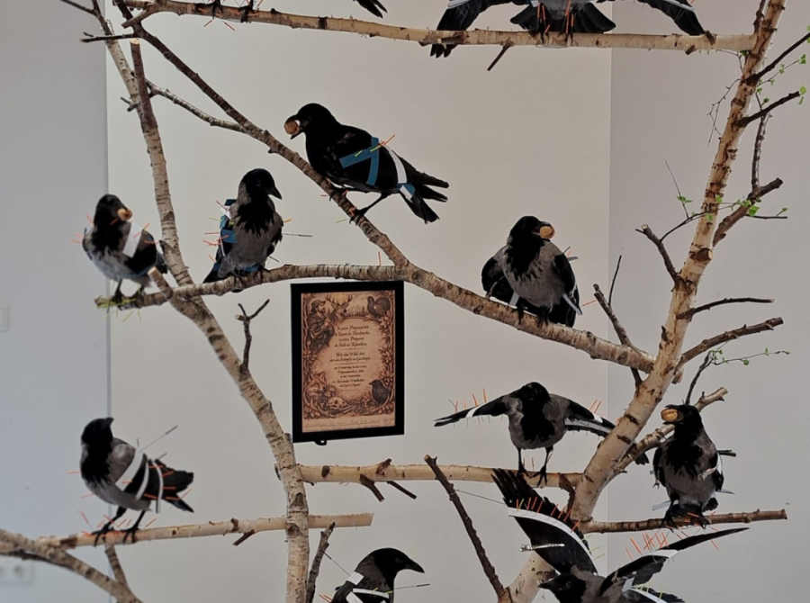 Präparate von Krähen