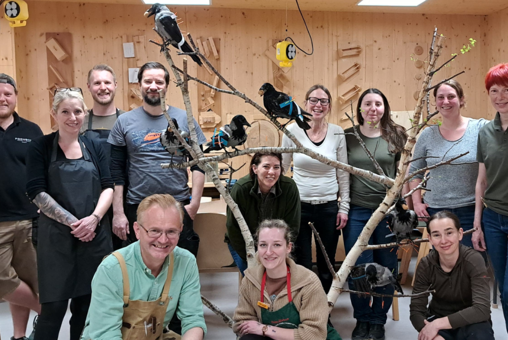 Taxidermie & Präparation