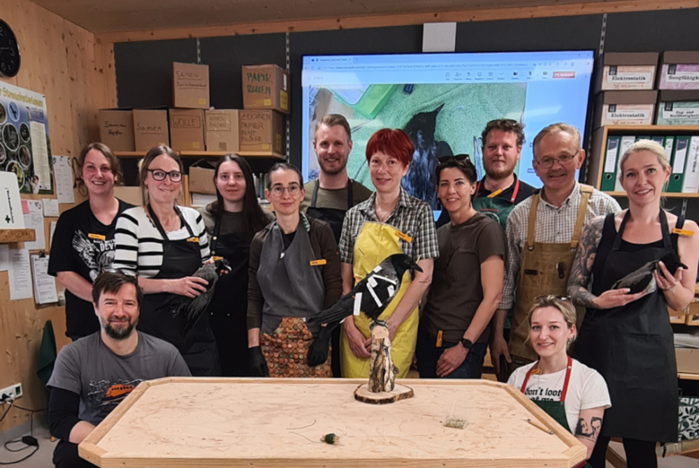 Taxidermie & Präparation von Krähen mit 11 Kursteilnehmer:innen