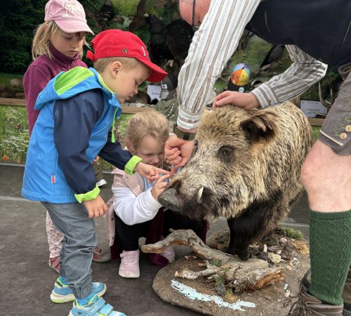 Markt der Artenvielfalt 2026 - Naturwelten Steiermark im Einsatz