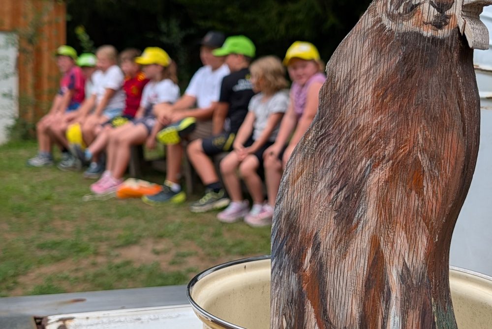 Abenteuer Natur für Kinder