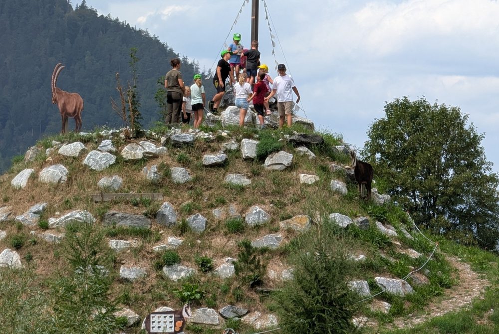 Abenteuer am Mount Mixnitz in den Naturwelten Steiermark bei der Ferienbetreuung