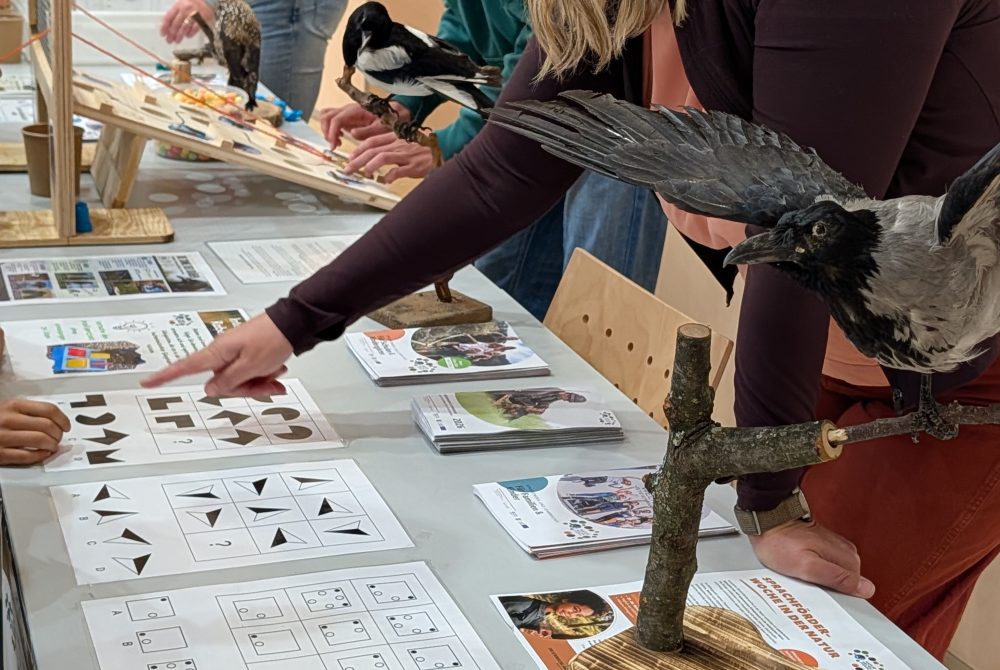 Science Garden Festival 2026 mit den Naturwelten Steiermark