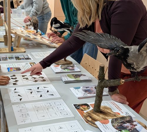 Science Garden Festival 2026 mit den Naturwelten Steiermark