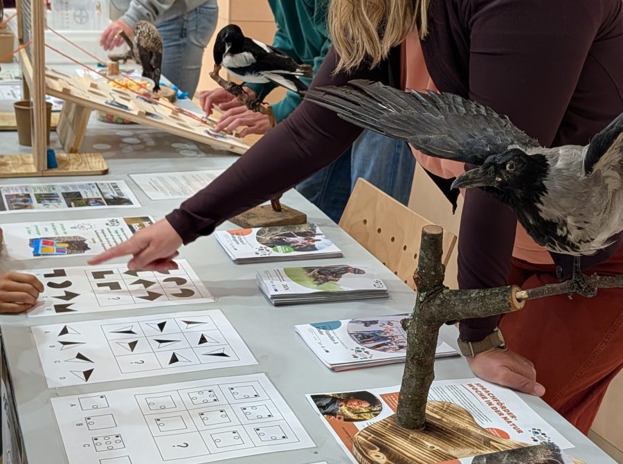 Science Garden Festival 2026 mit den Naturwelten Steiermark